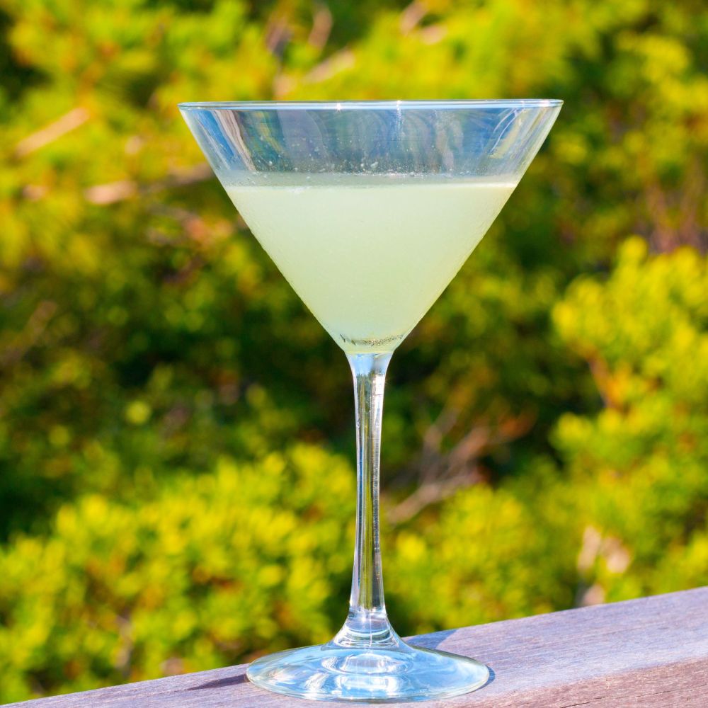 a green drink in a cocktail glass